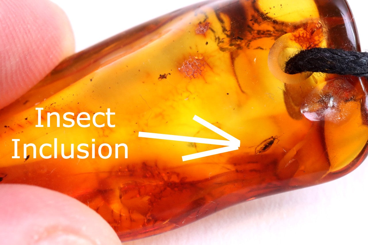 Amber Amulet with Fossil