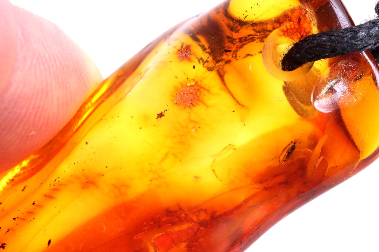 Amber Amulet with Fossil