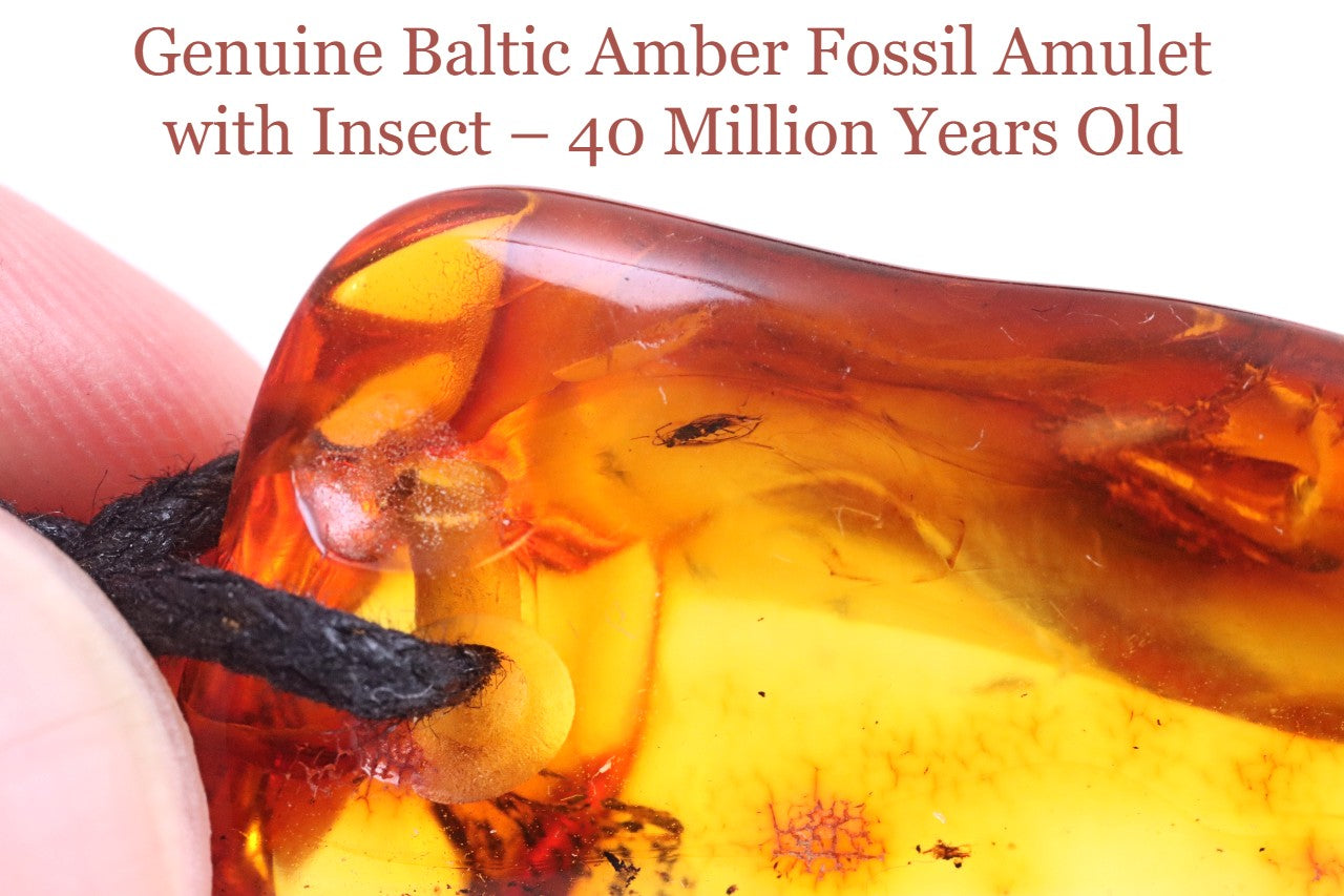 Amber Amulet with Fossil