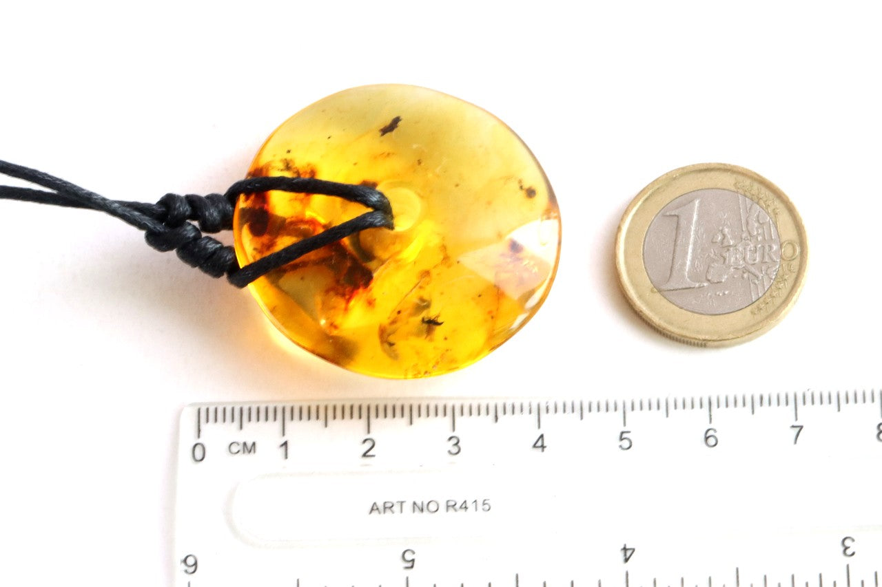 Large Natural Baltic Amber Donut Amulet Pendant with Insect Inclusion