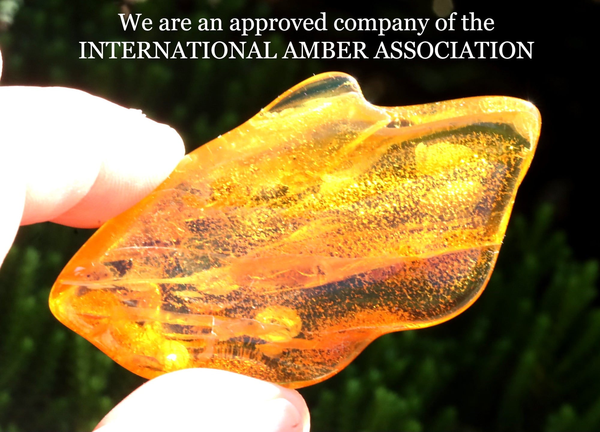 Natural Baltic Amber Gemstone