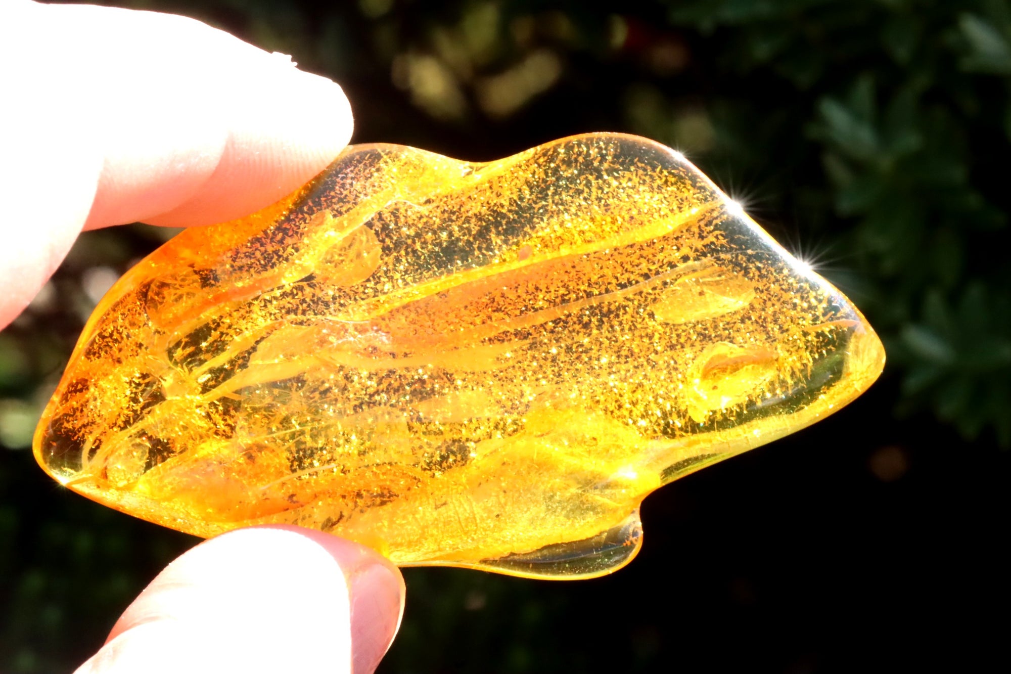 Natural Baltic Amber Gemstone