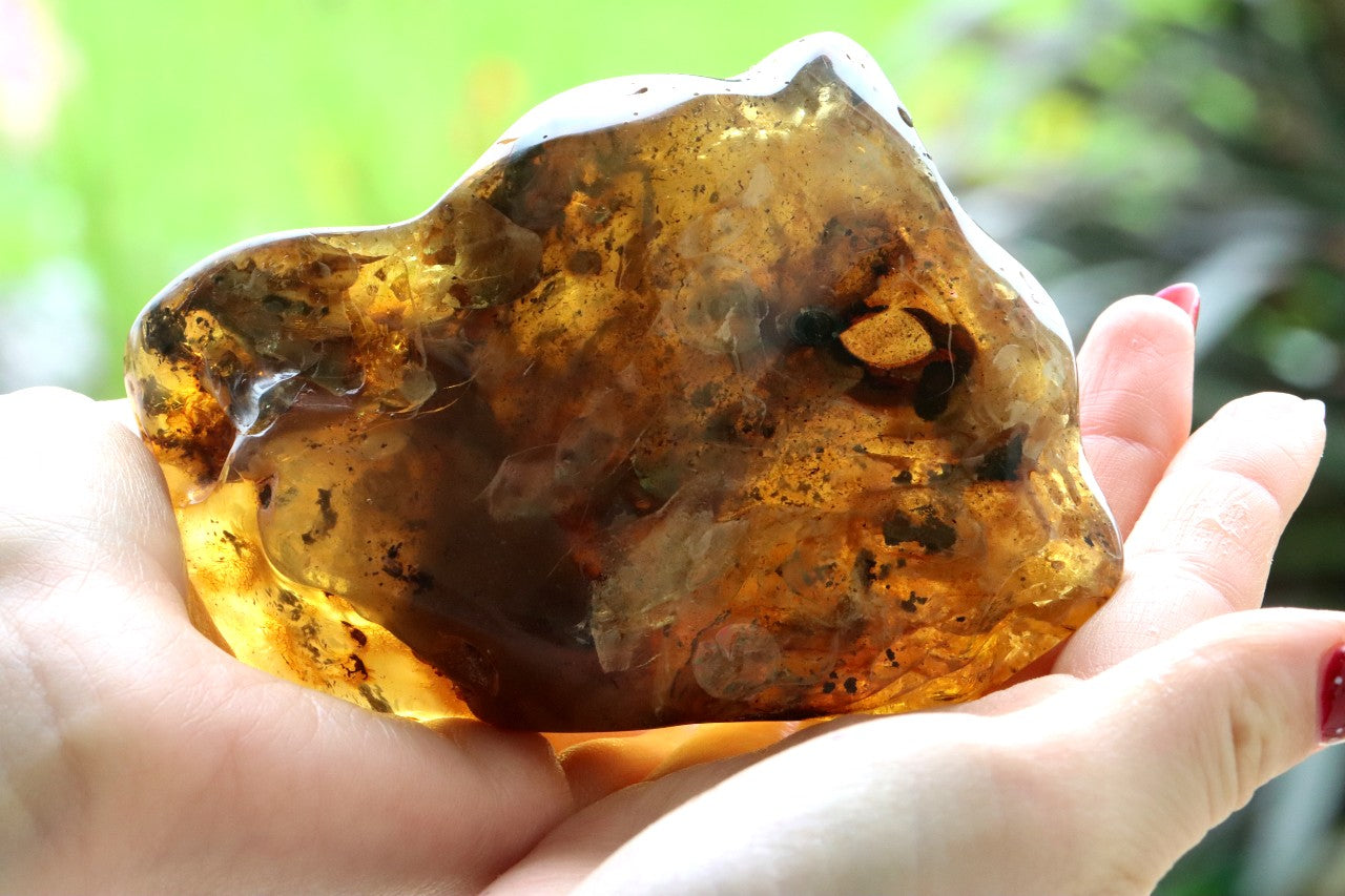 Huge 138g Baltic Amber Gem Natural Collector’s Specimen