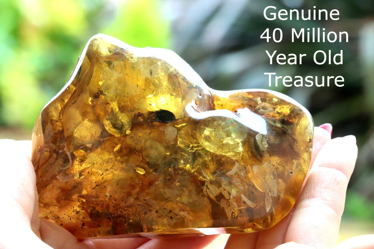 Huge 138g Baltic Amber Gem Natural Collector’s Specimen