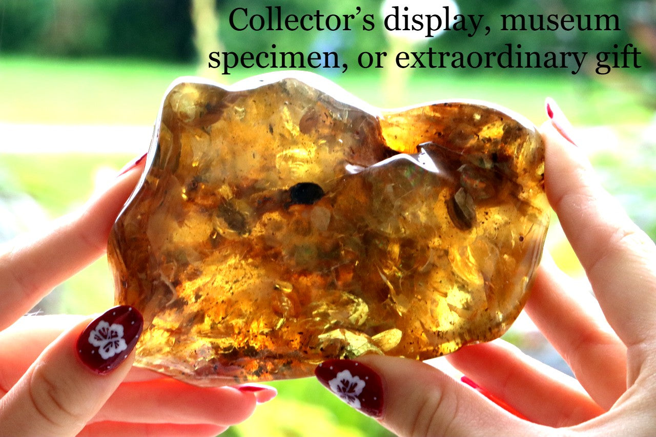Huge 138g Baltic Amber Gem Natural Collector’s Specimen