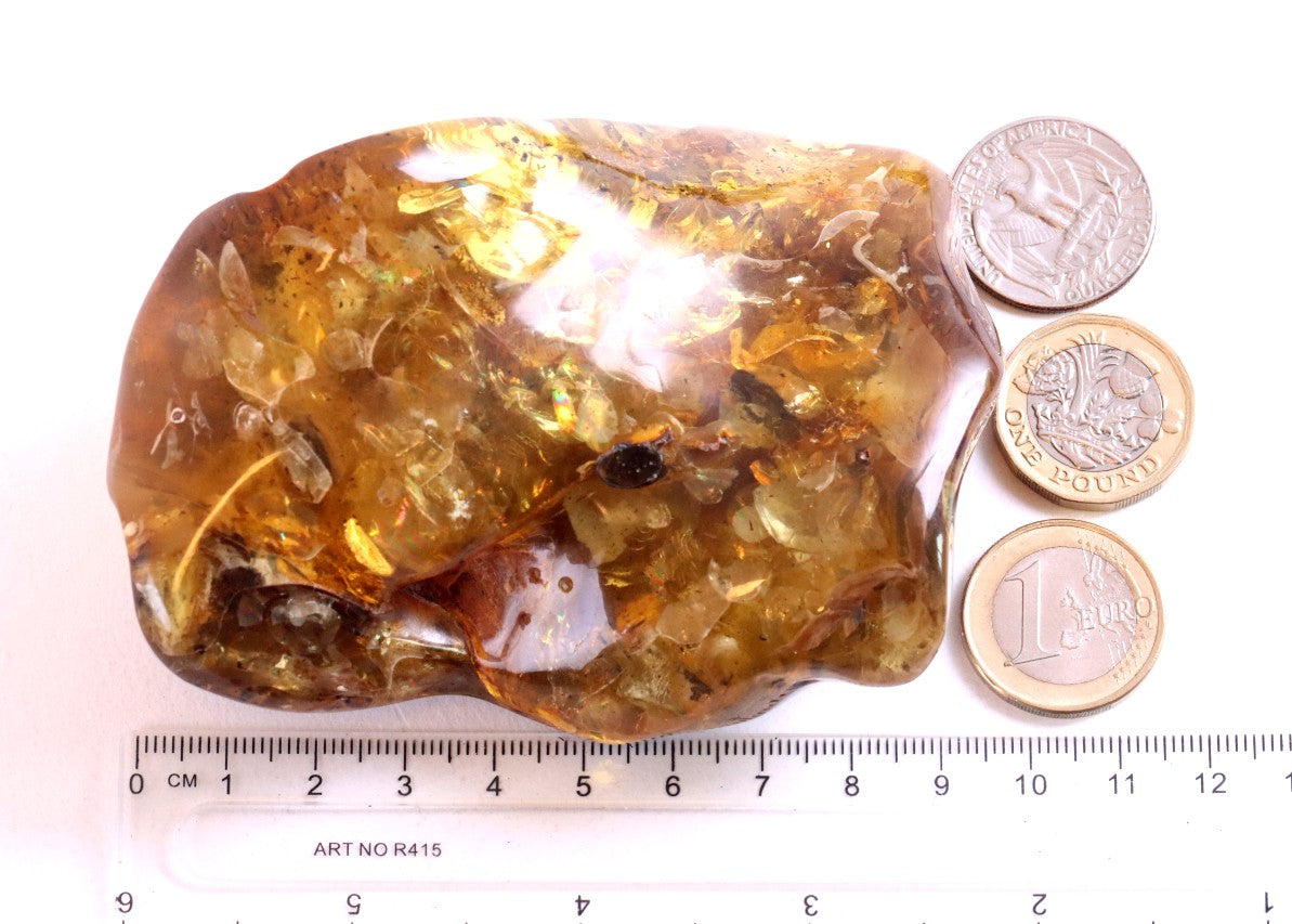 Huge 138g Baltic Amber Gem Natural Collector’s Specimen