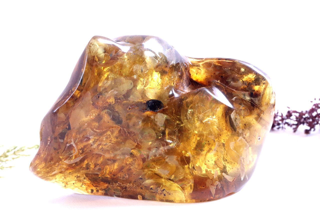 Huge 138g Baltic Amber Gem Natural Collector’s Specimen