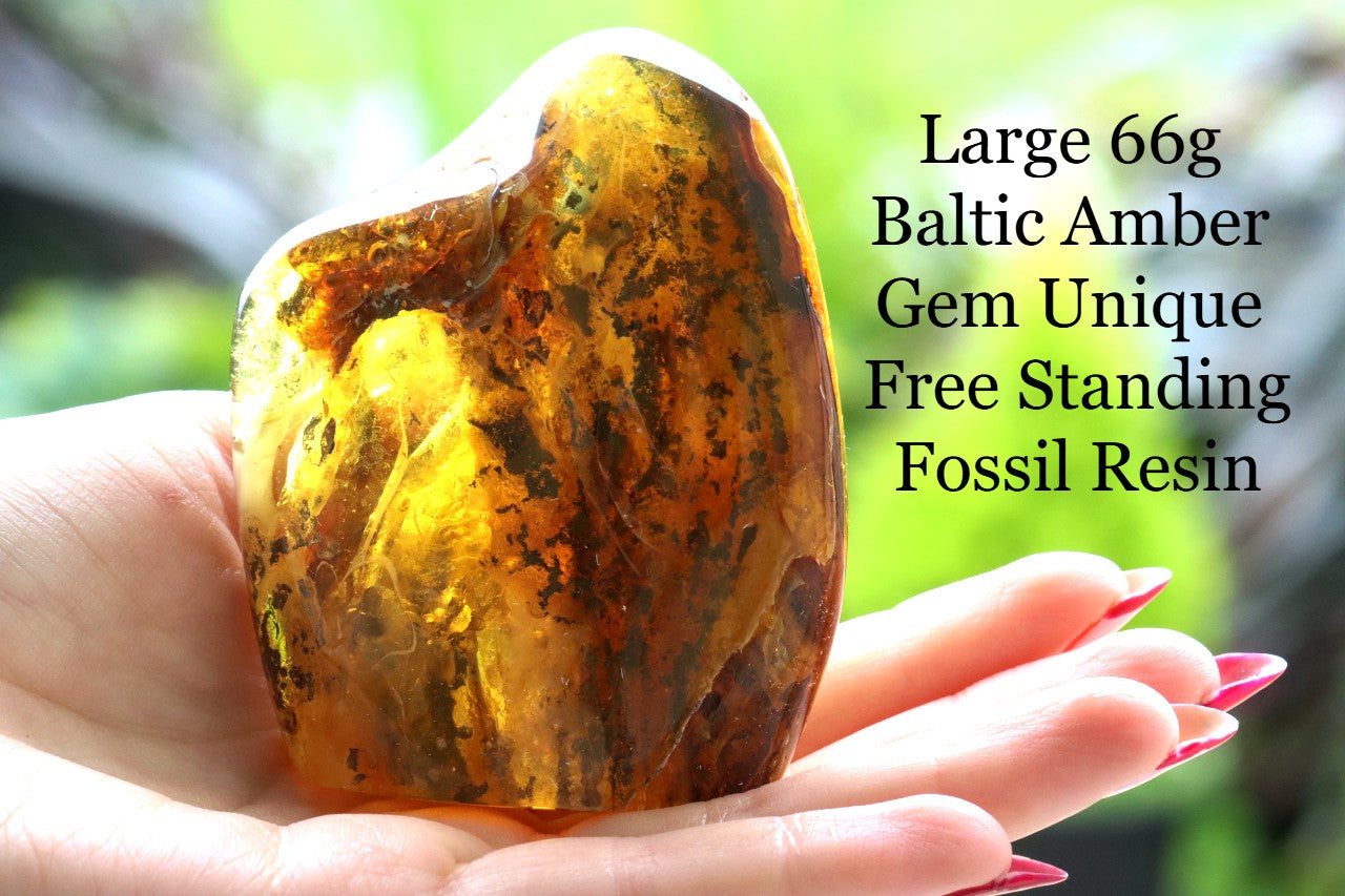 Large 66g Baltic Amber Gem Unique Free-Standing Fossil Resin