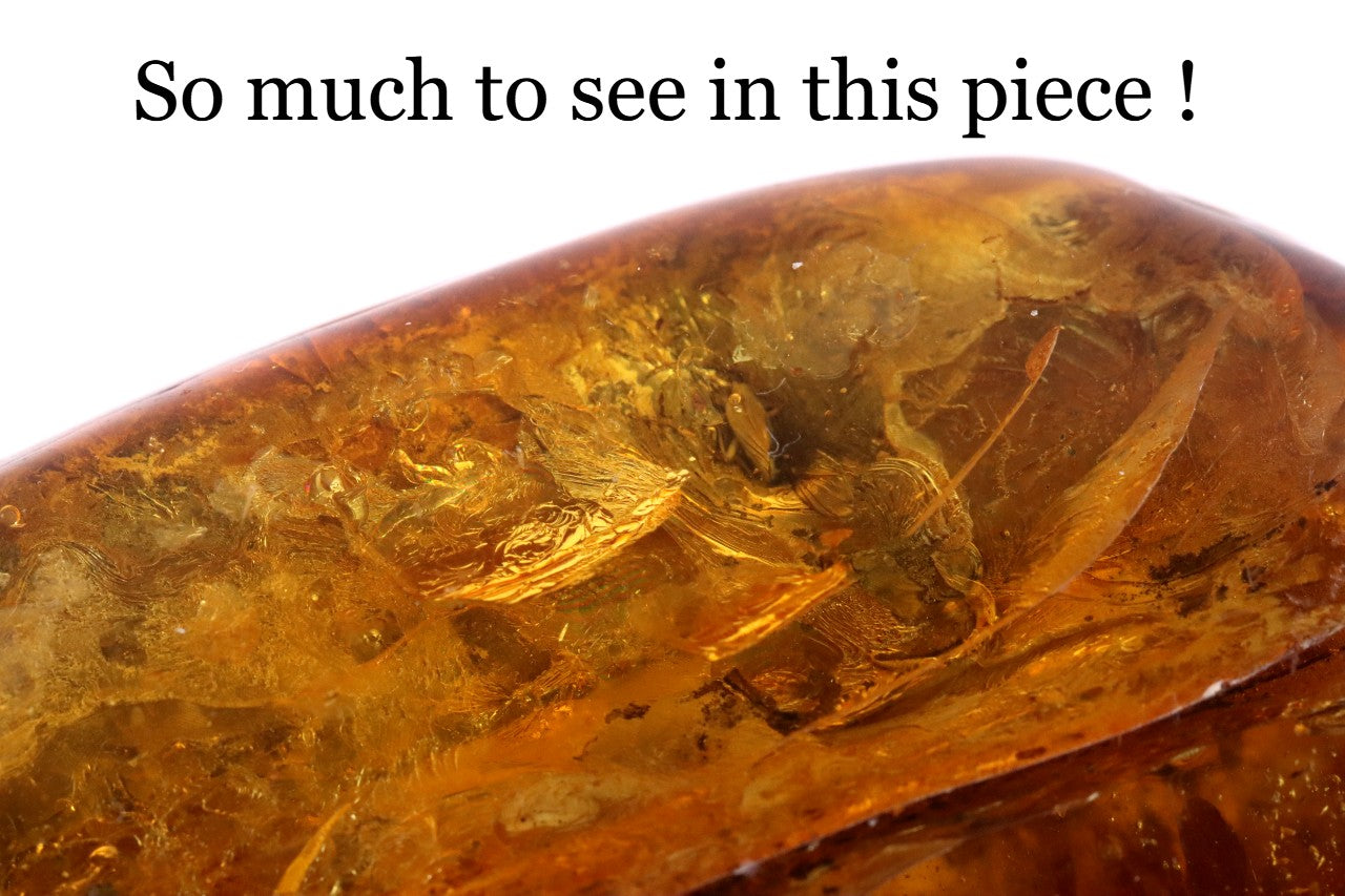 Large 66g Baltic Amber Gem Unique Free-Standing Fossil Resin