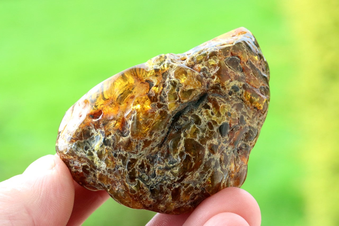 Large 54g Baltic Amber Gemstone