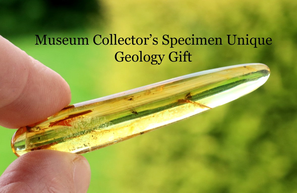 Rare Baltic Amber with 6 Insect Inclusions