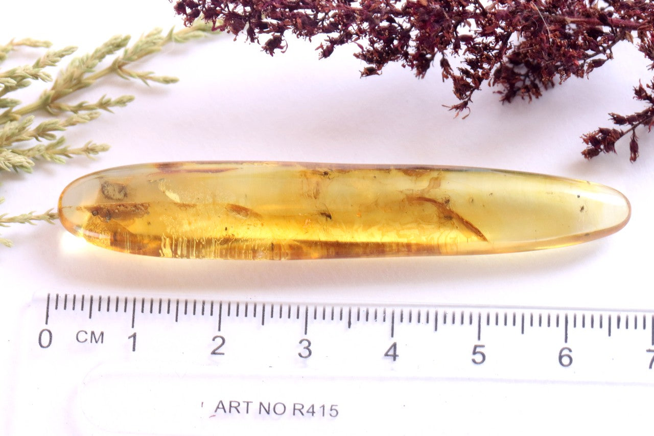 Rare Baltic Amber with 6 Insect Inclusions