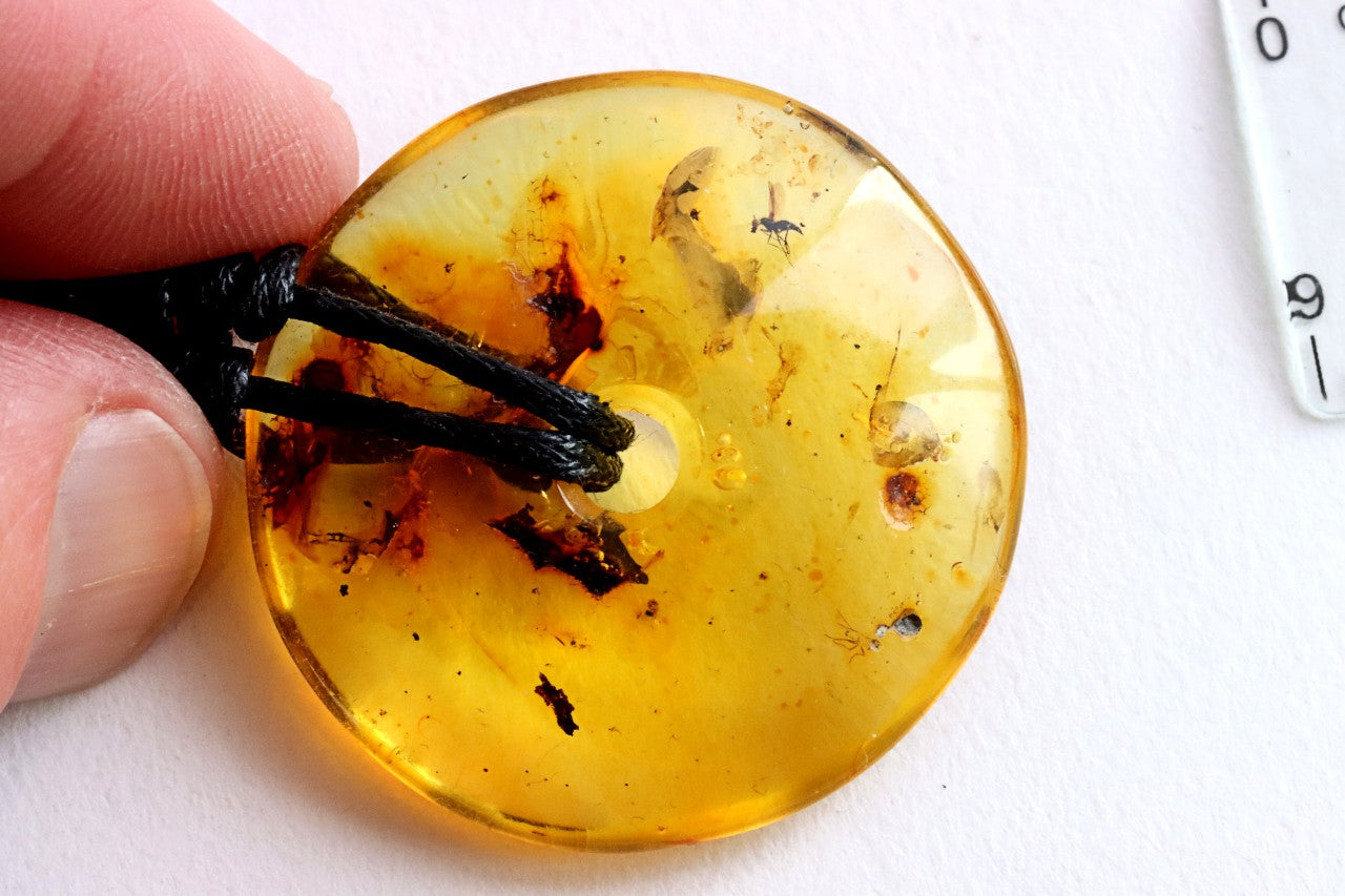Large Natural Baltic Amber Donut Amulet Pendant with Insect Inclusion