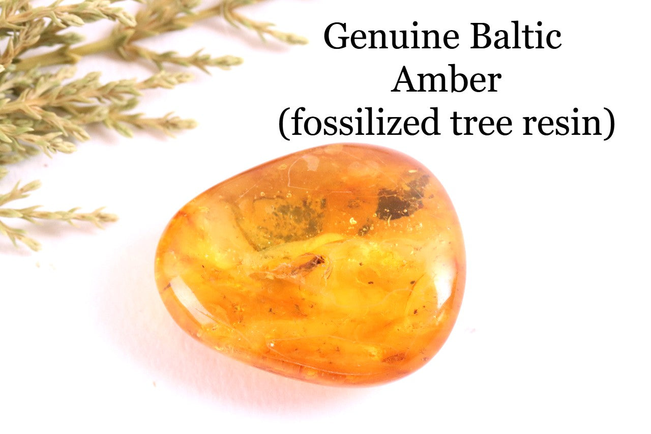 Insect Inclusion in Baltic Amber – Genuine Fossil Gem
