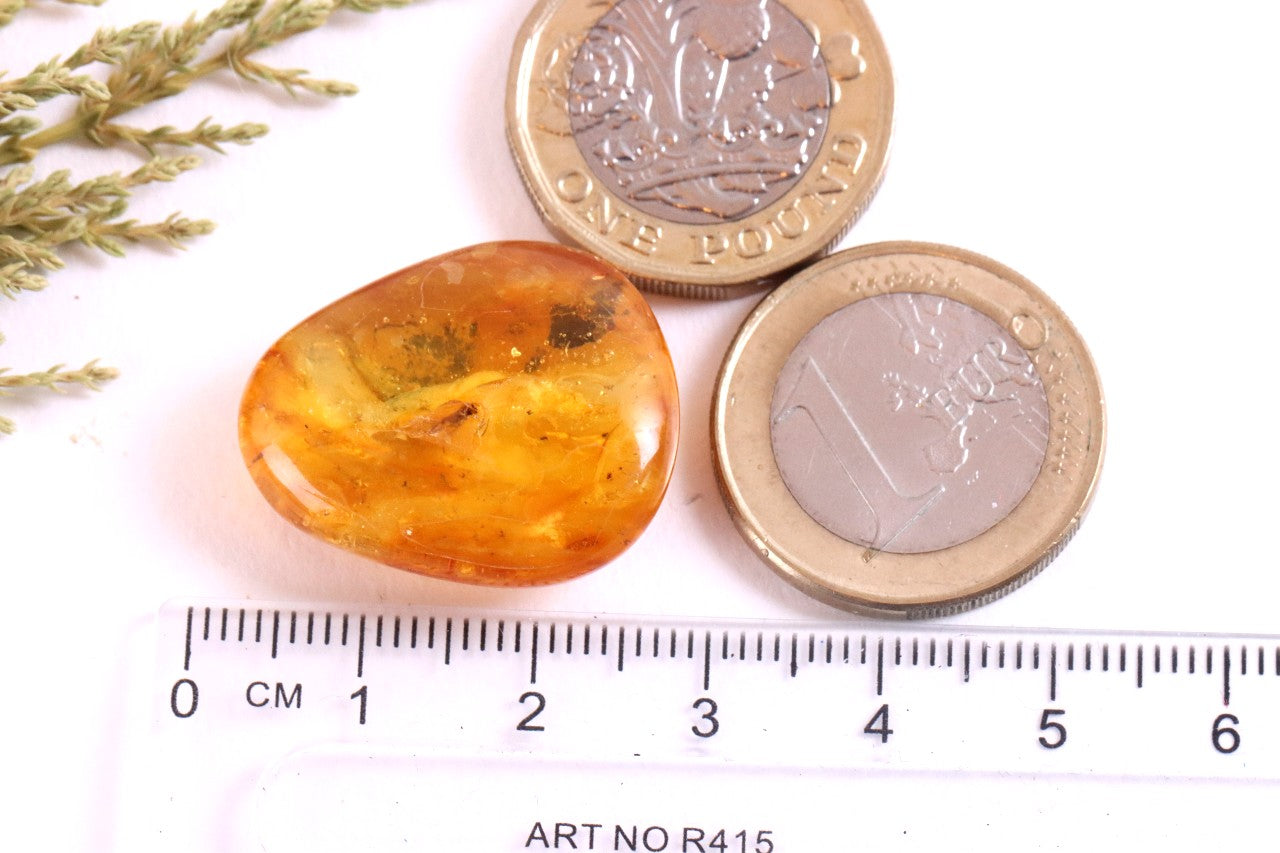 Insect Inclusion in Baltic Amber – Genuine Fossil Gem
