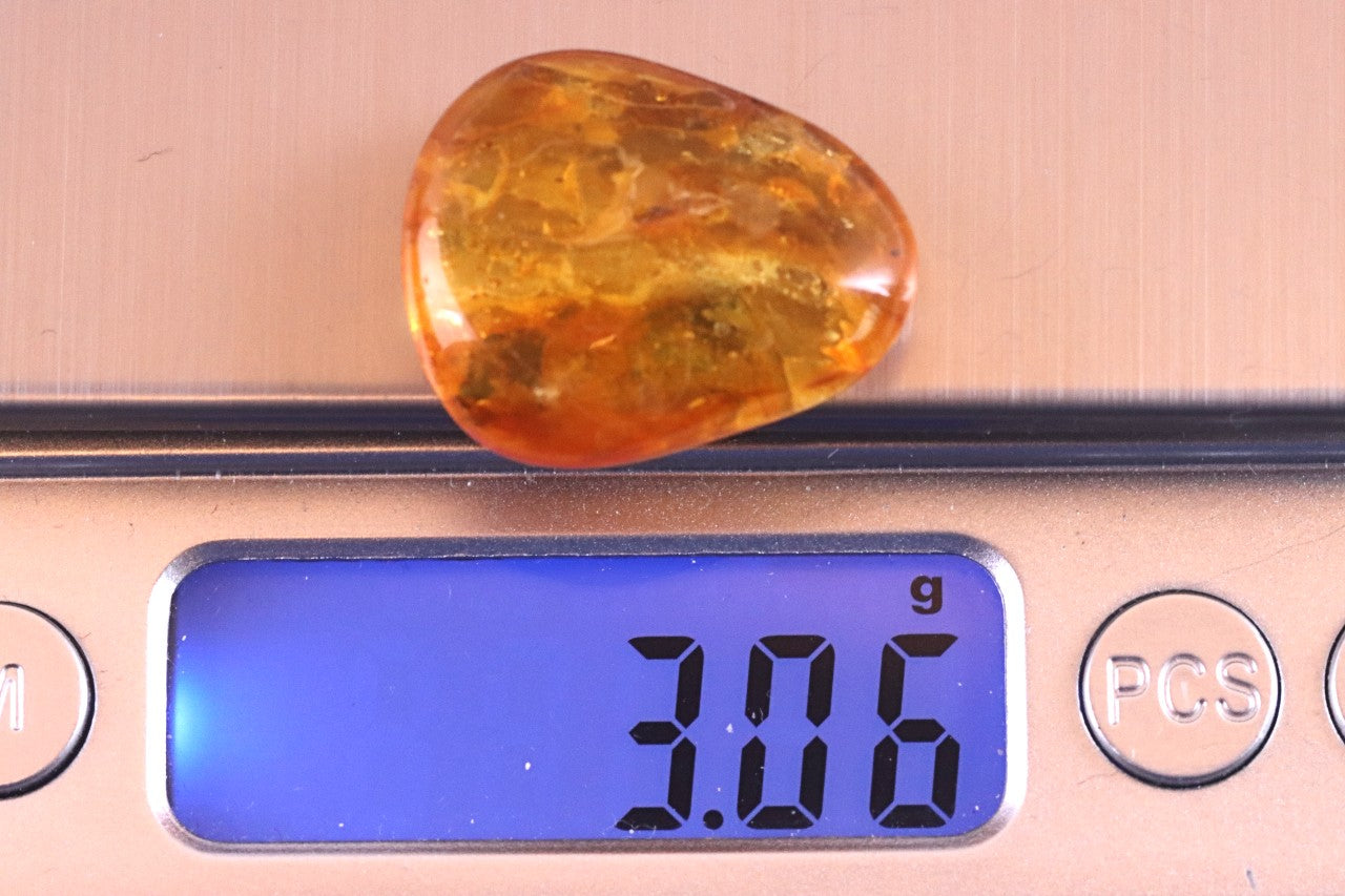 Insect Inclusion in Baltic Amber – Genuine Fossil Gem