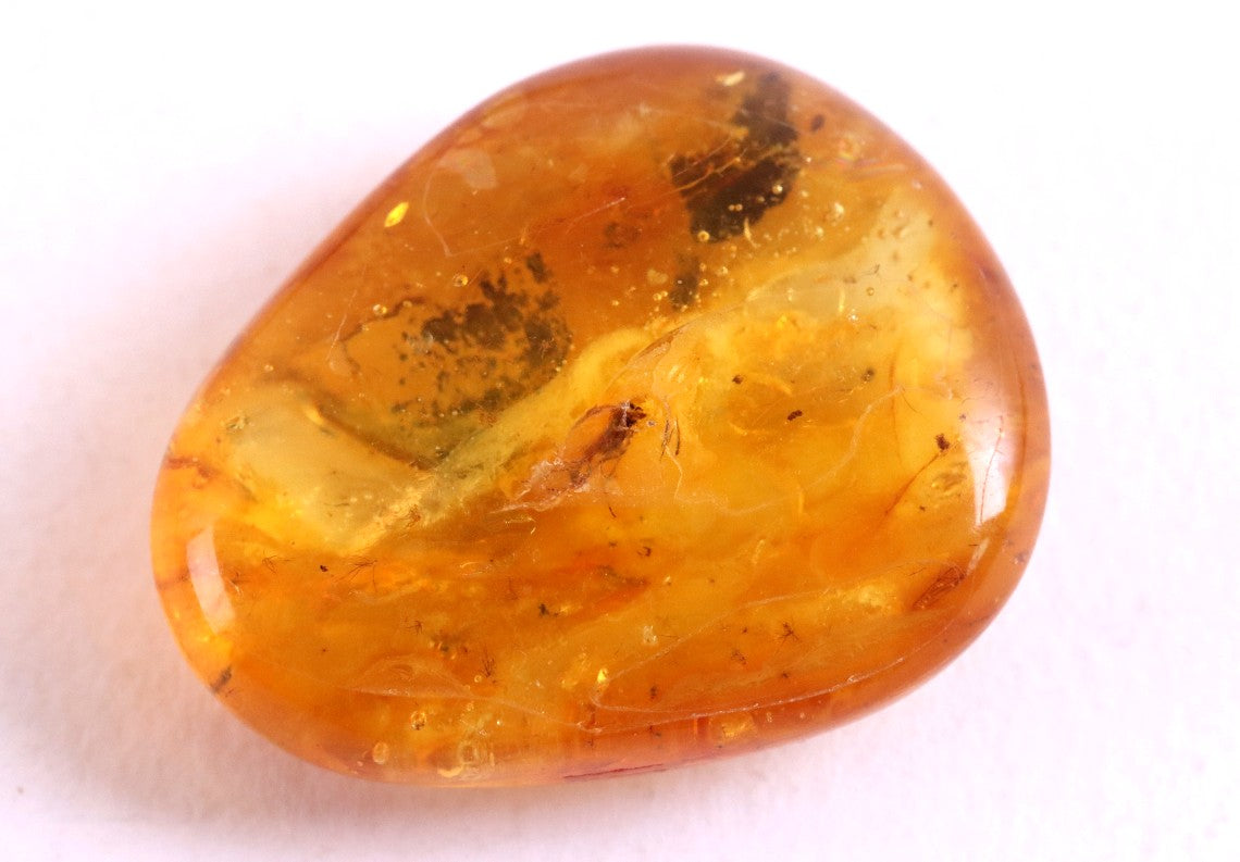 Insect Inclusion in Baltic Amber – Genuine Fossil Gem