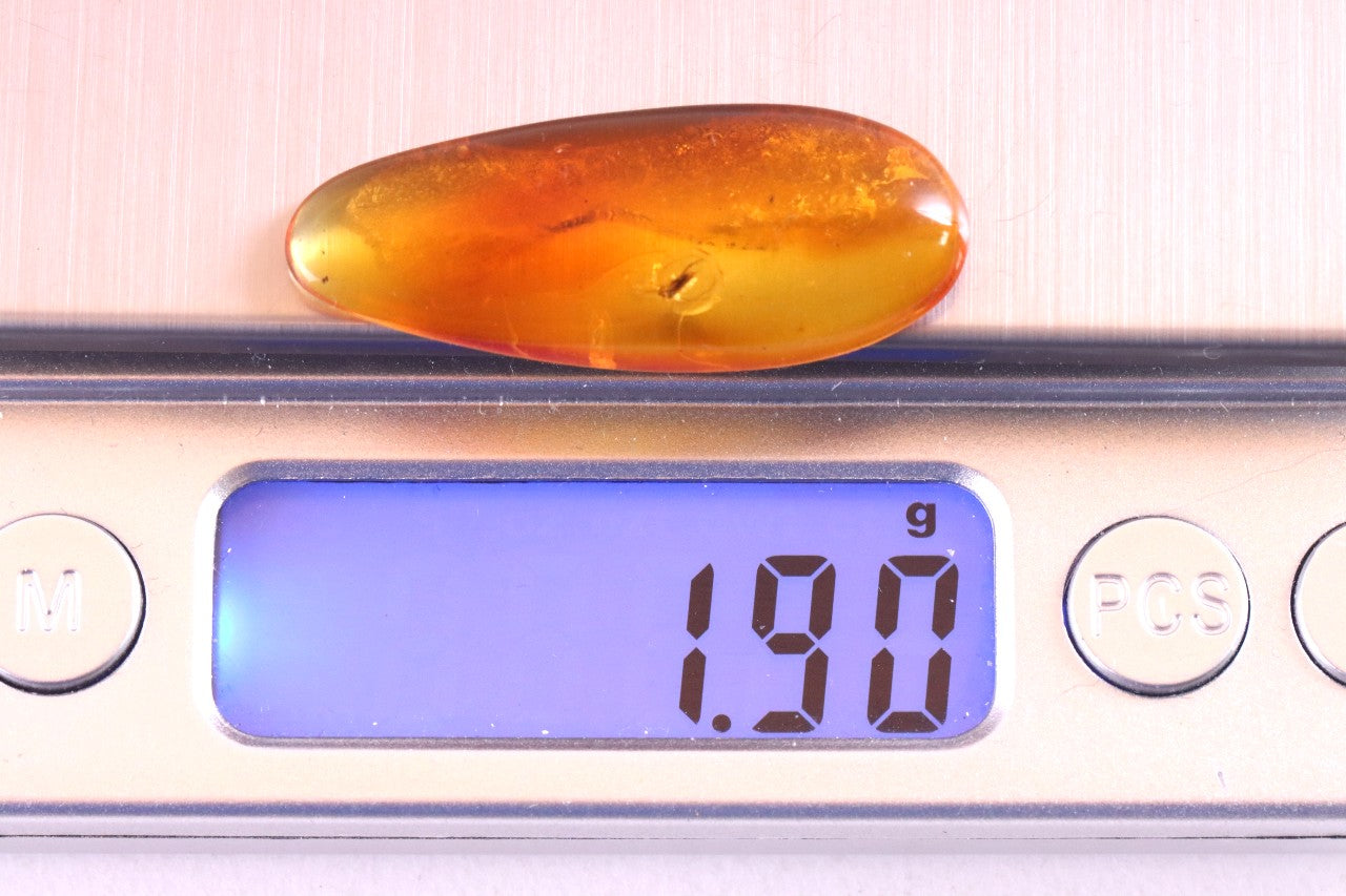 Amber with Insect Inclusion