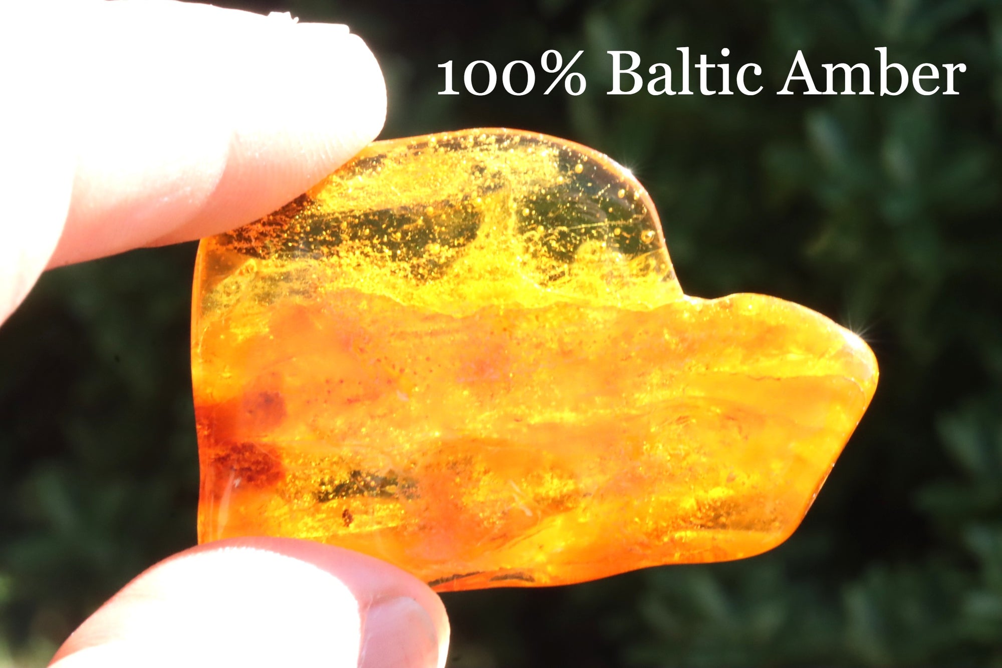 Fly Inclusion in Amber 40 million year old Baltic Amber