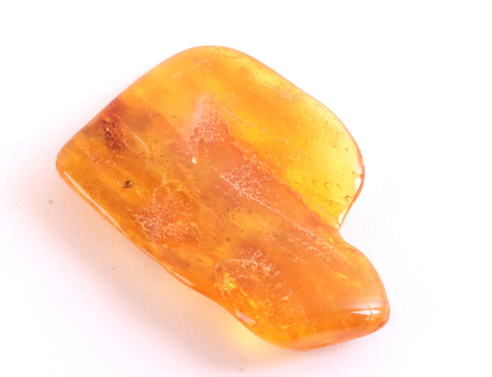 Fly Inclusion in Amber 40 million year old Baltic Amber