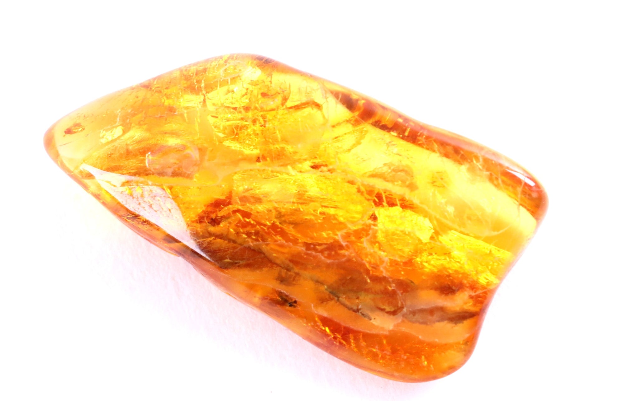 Real Amber Insect