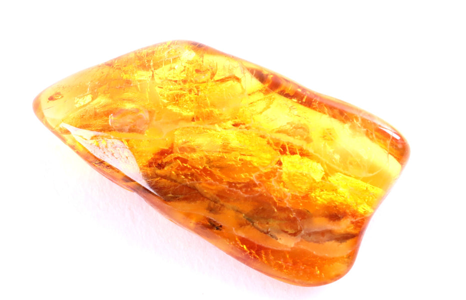 Amber Inclusions | Insect Fossils in Amber from Amber SOS