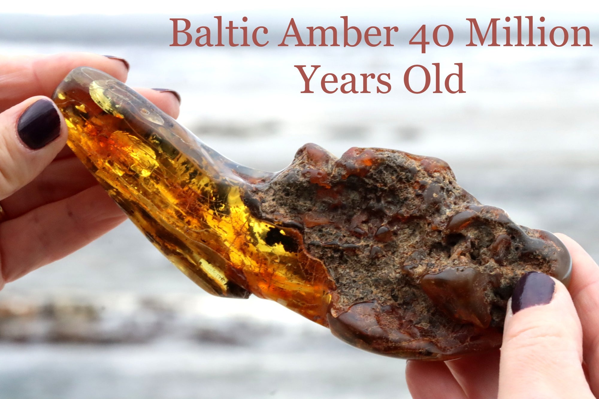 Remarkable Large Piece Of Baltic Amber With 2 X Insects Inclusions