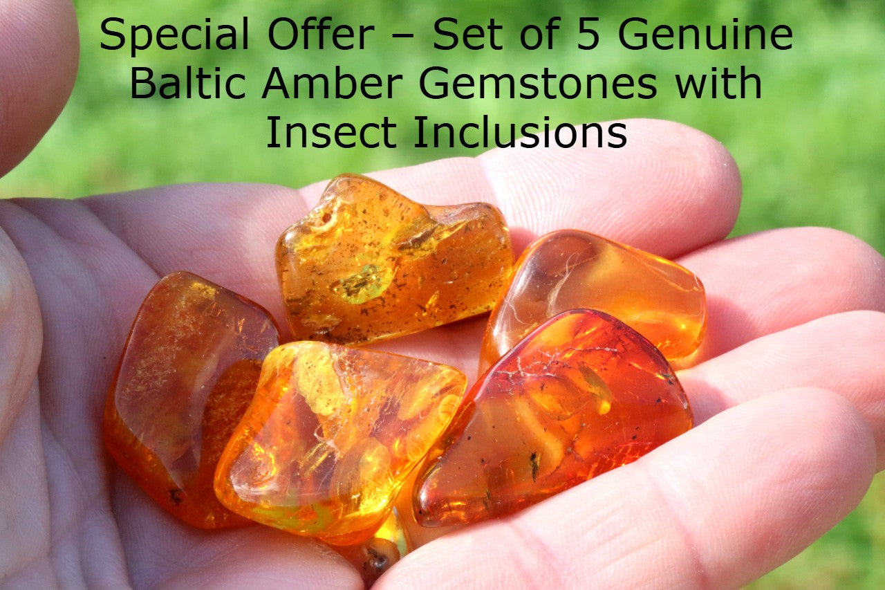 Special Offer – Set of 5 Genuine Baltic Amber Gemstones with Insect Inclusions