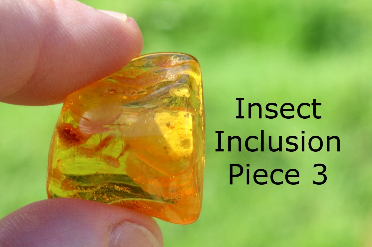 Special Offer – Set of 5 Genuine Baltic Amber Gemstones with Insect Inclusions