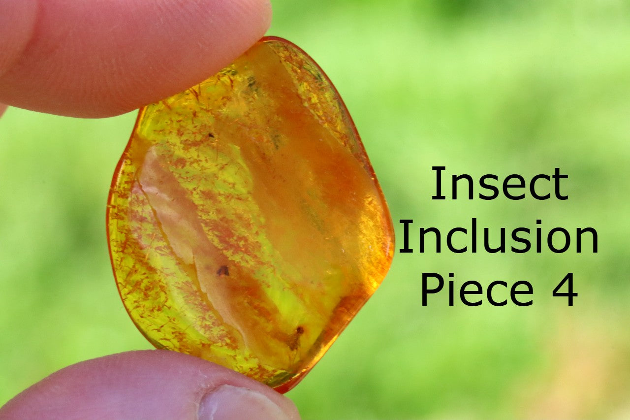 Special Offer – Set of 5 Genuine Baltic Amber Gemstones with Insect Inclusions