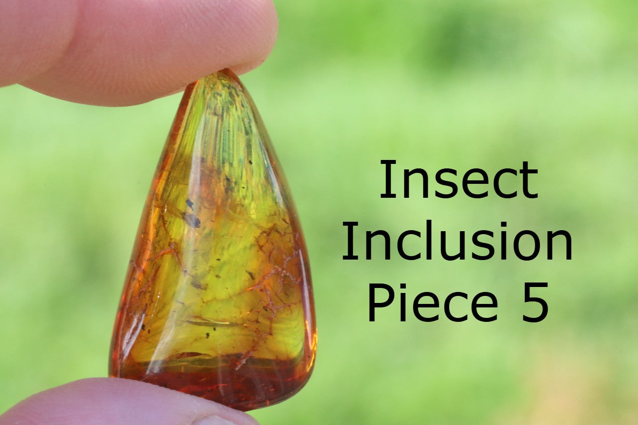 Special Offer – Set of 5 Genuine Baltic Amber Gemstones with Insect Inclusions