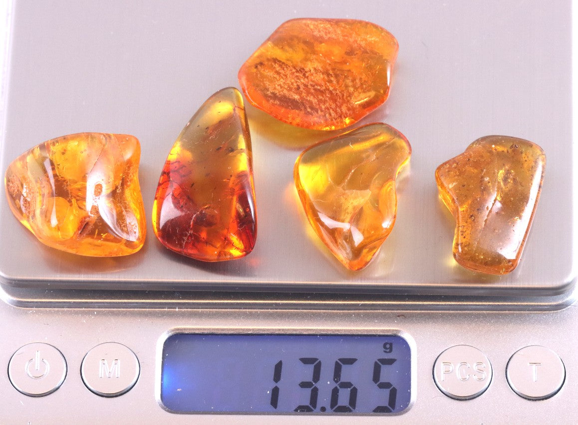 Special Offer – Set of 5 Genuine Baltic Amber Gemstones with Insect Inclusions