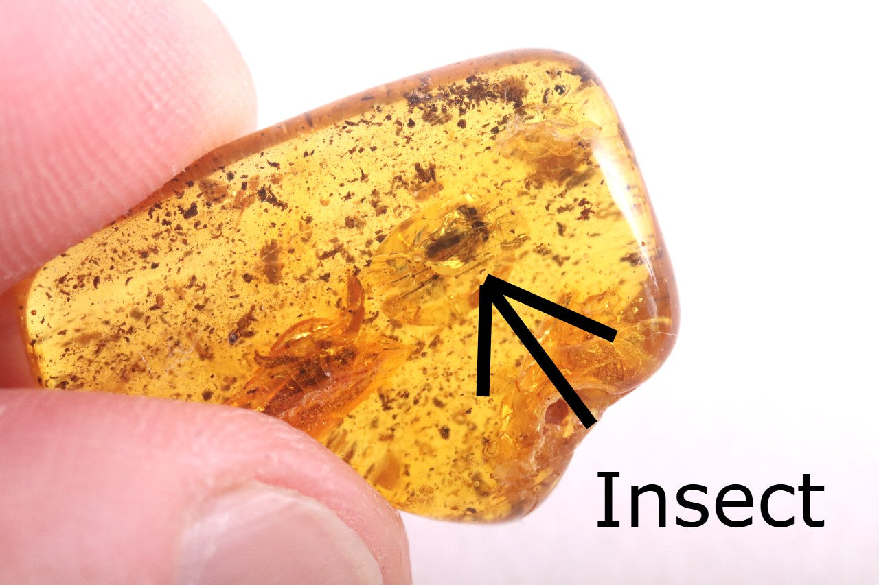 Special Offer – Set of 5 Genuine Baltic Amber Gemstones with Insect Inclusions