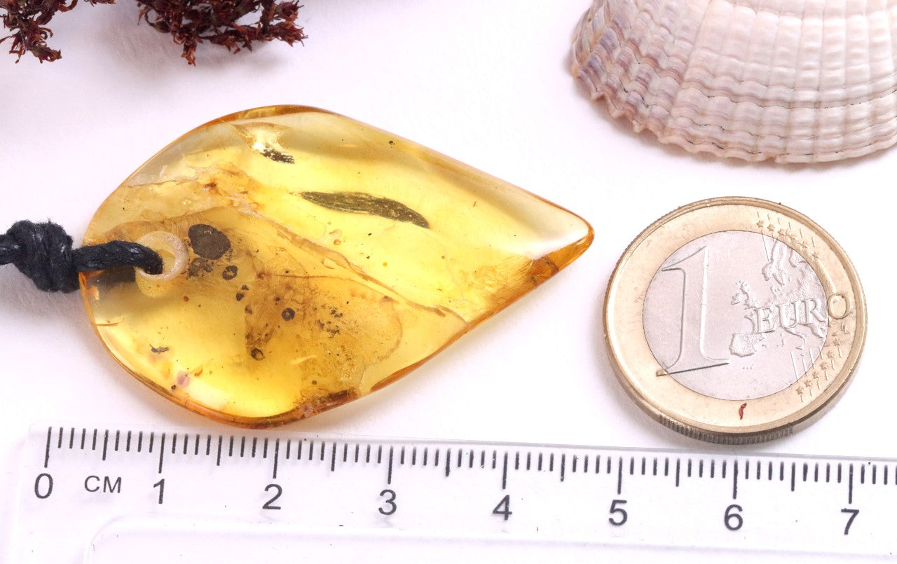 Natural Shape Baltic Amber Amulet