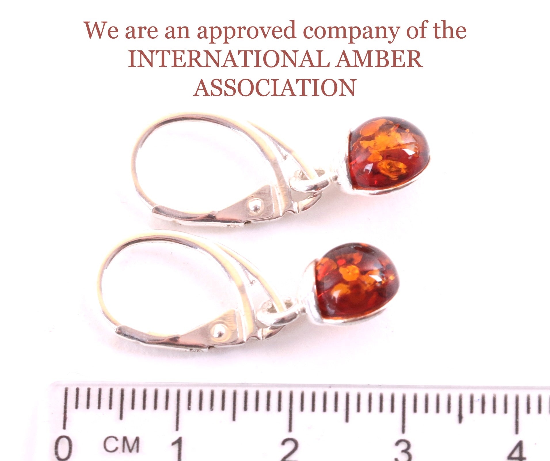 Baltic Amber Drop Earrings