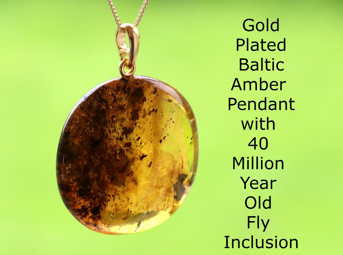 Gold Baltic Amber Pendant with Fly Inclusion