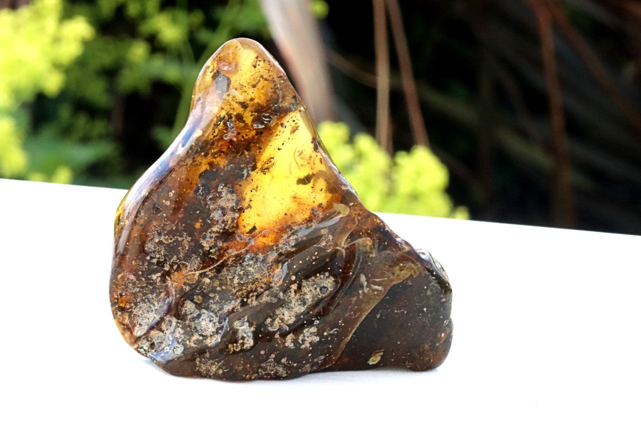 Natural Large Baltic Amber Collector’s Gem