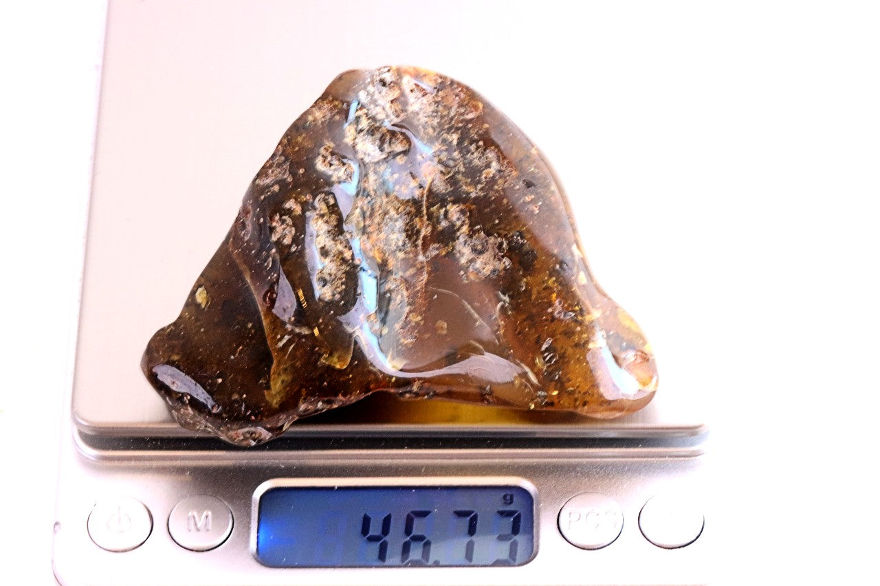 Natural Large Baltic Amber Collector’s Gem