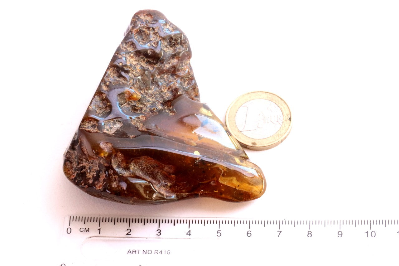 Natural Large Baltic Amber Collector’s Gem