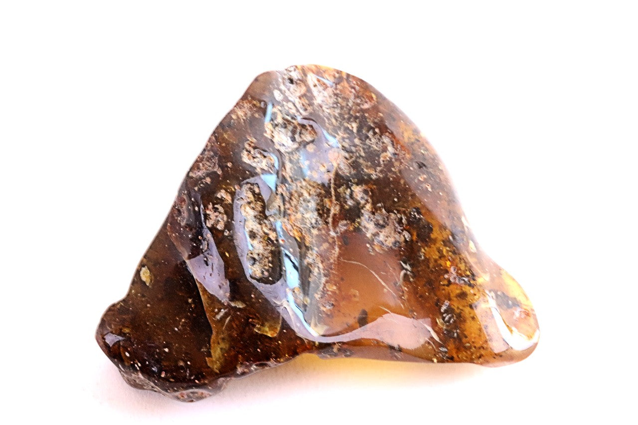 Natural Large Baltic Amber Collector’s Gem