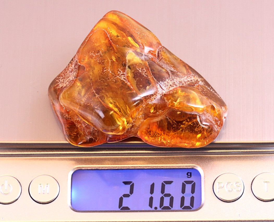 45.7g Museum Collector's Gem