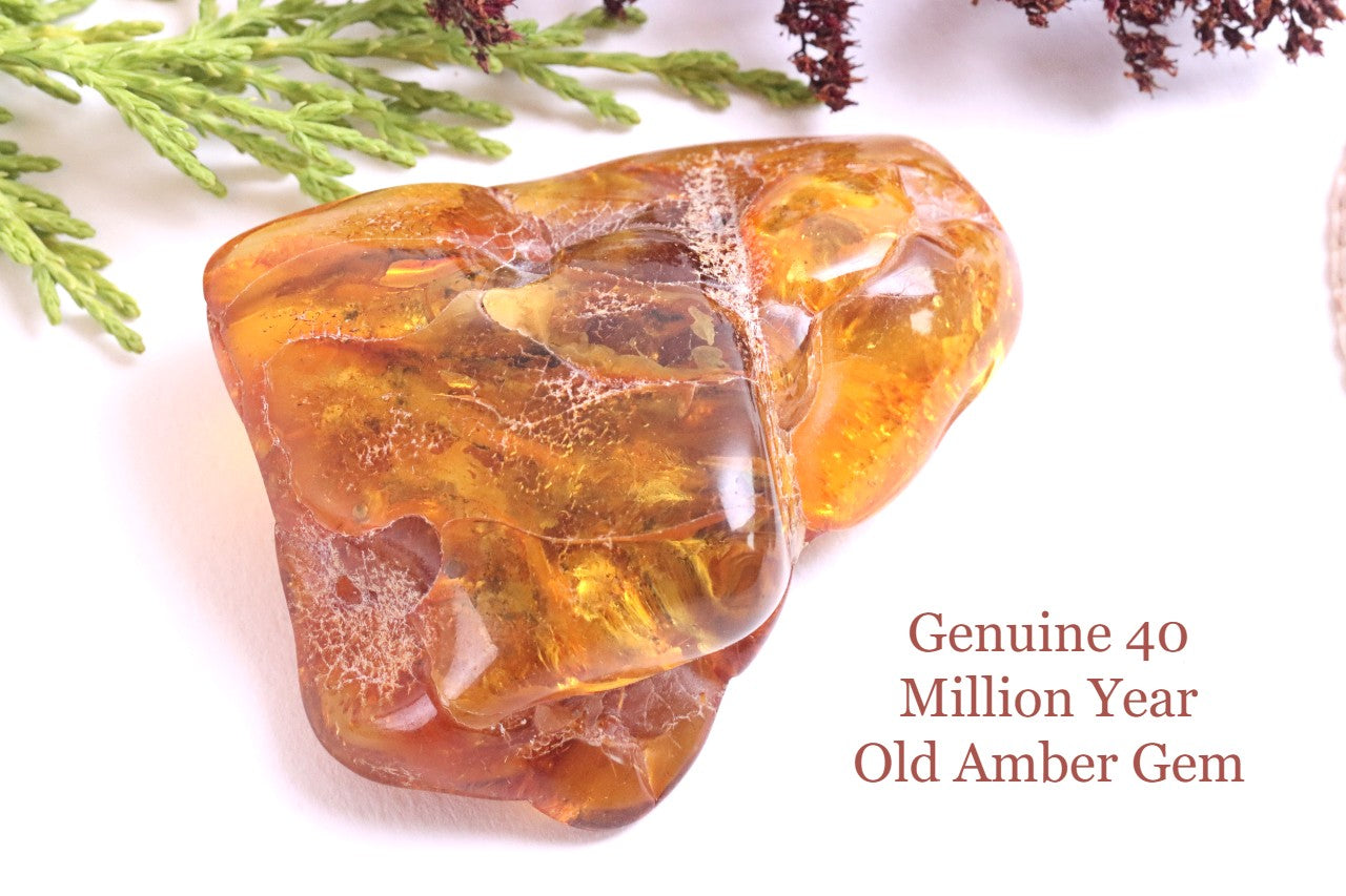 45.7g Museum Collector's Gem