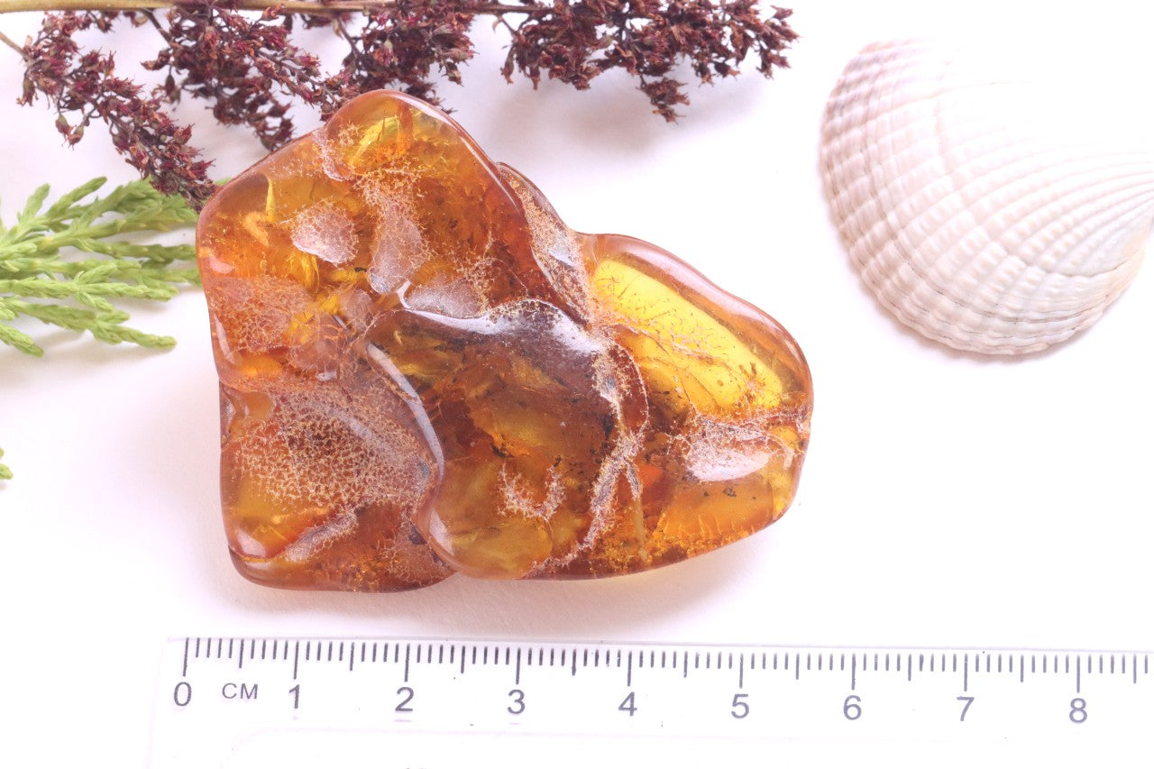 45.7g Museum Collector's Gem