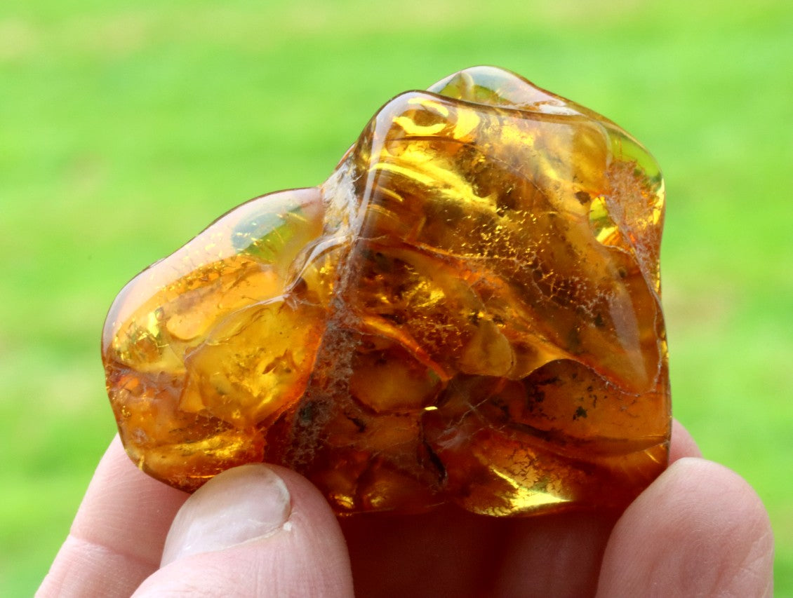 45.7g Museum Collector's Gem