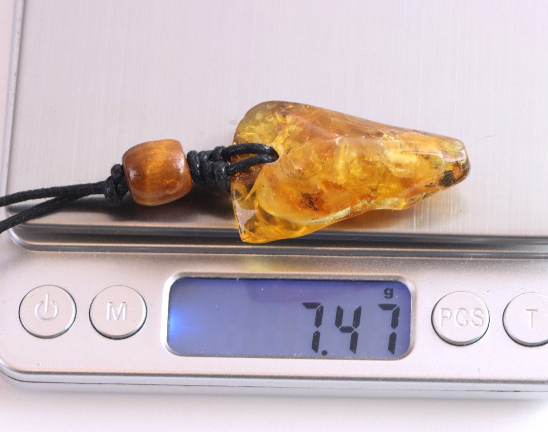 A unique Baltic amber amulet pendant featuring a fascinating insect inclusion
