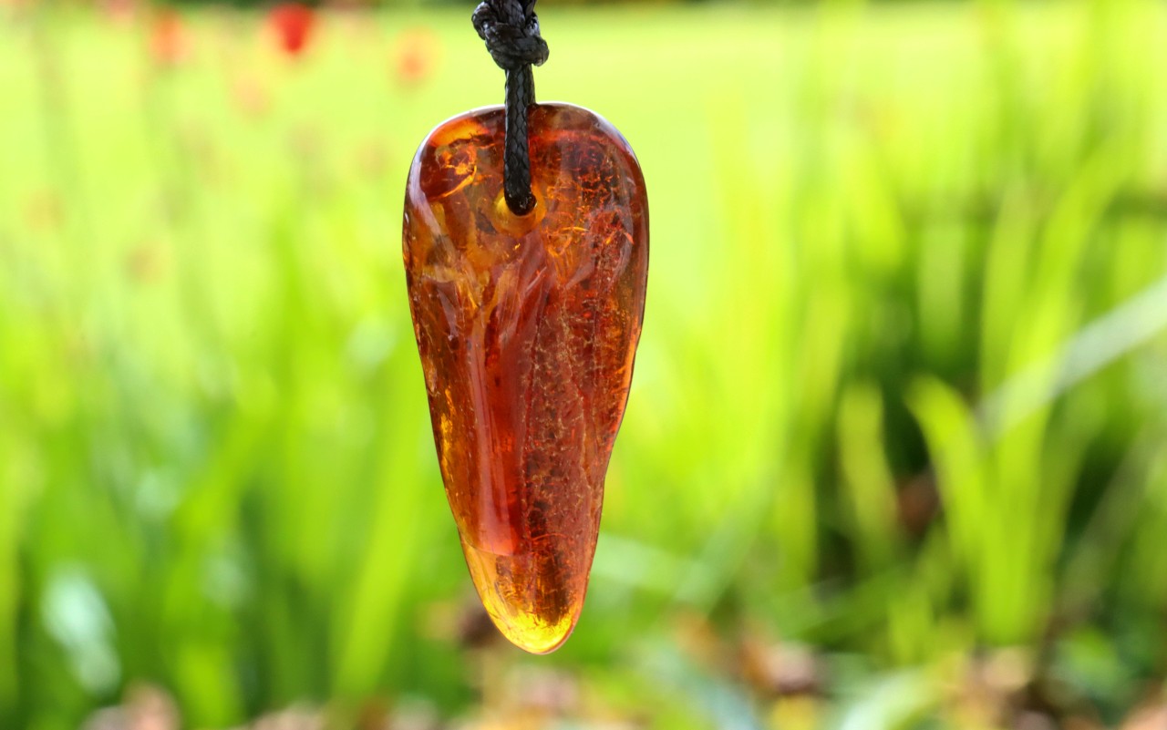 Natural Amber Amulet with Adjustable Cord + FREE Extra Pendant!