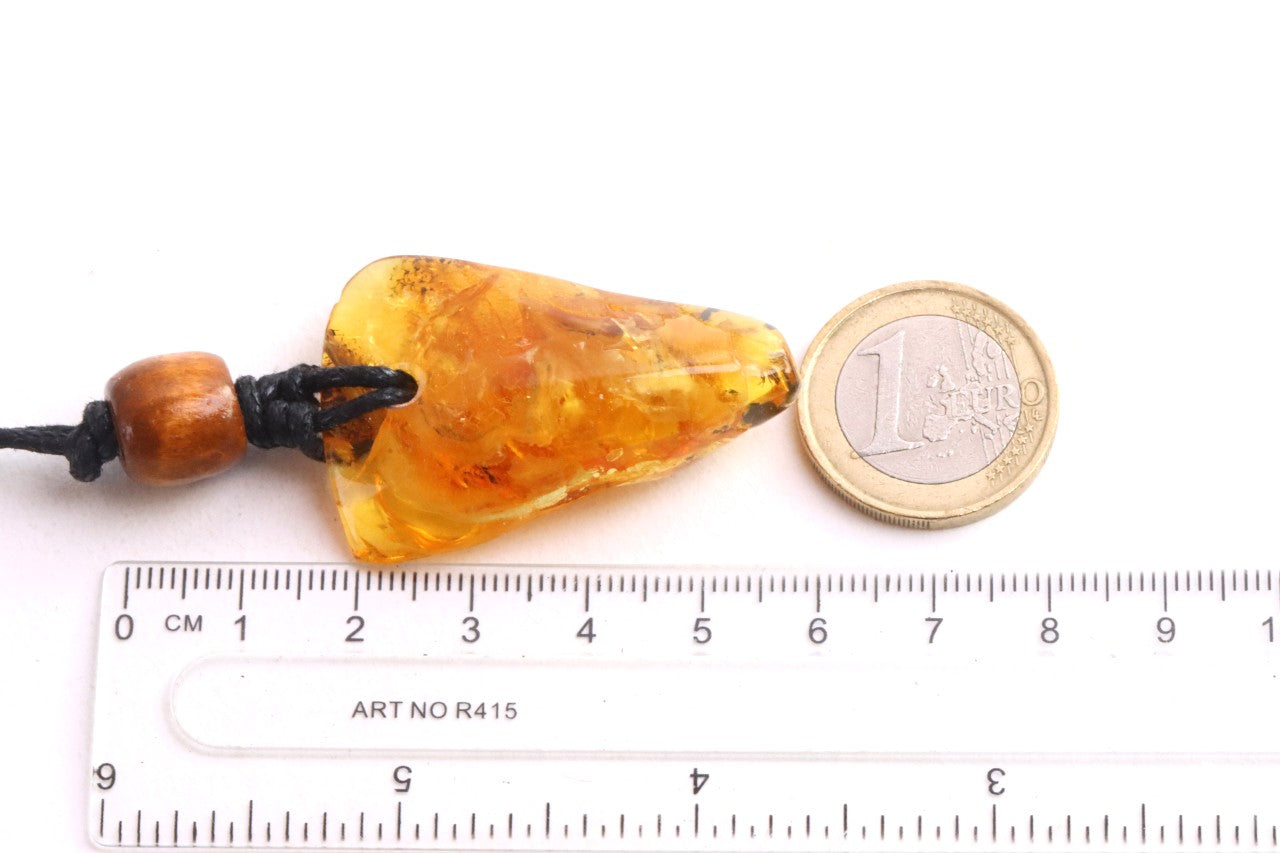 A unique Baltic amber amulet pendant featuring a fascinating insect inclusion