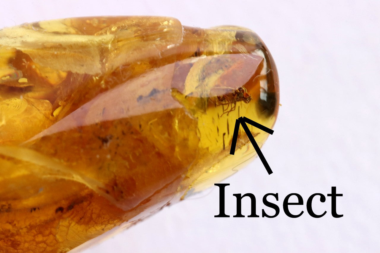 A unique Baltic amber amulet pendant featuring a fascinating insect inclusion