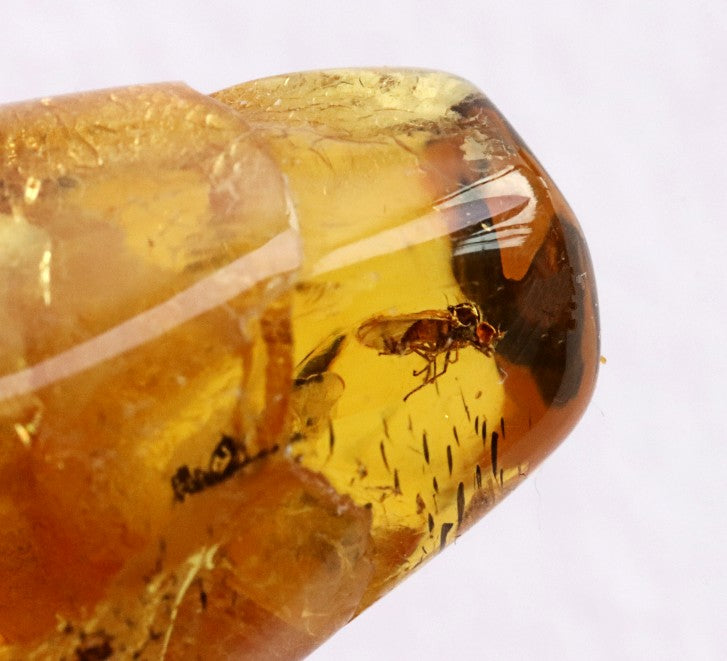 A unique Baltic amber amulet pendant featuring a fascinating insect inclusion