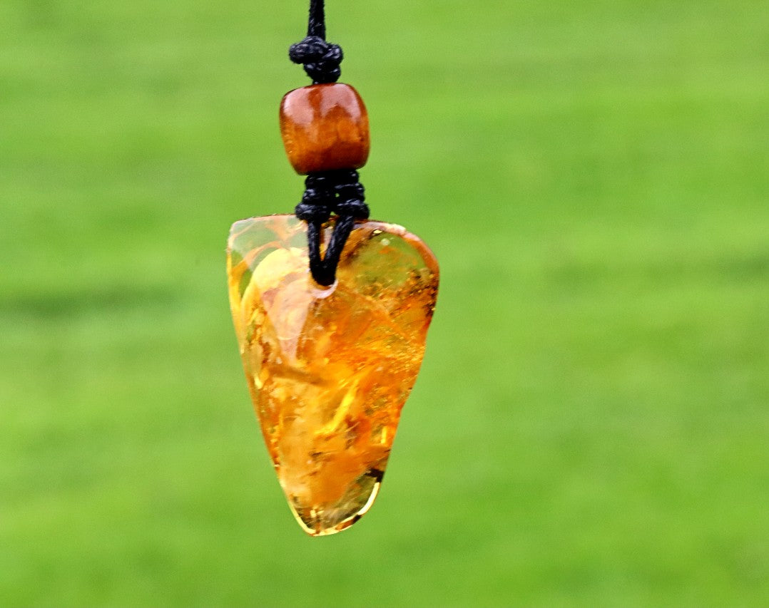 A unique Baltic amber amulet pendant featuring a fascinating insect inclusion